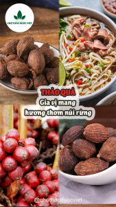 Thảo quả khô 500g quả to sạch gia vị nấu phở nấu sốt vang ngâm mai quế lộ gà ủ muối lạp xưởng