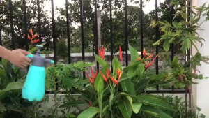 Bình Tưới Cây Cảnh Dung Tích 3L Chế độ phun sương phun tia dùng để tưới cây ĐẶC BIỆT có thể để pha thuốc phun