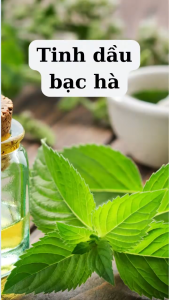 Xịt Đuổi Thằn Lằn ASA CHÍNH HÃNG - Tinh Dầu Xịt Đuổi Thằn Lằn Trong Nhà và Xe Ô Tô LALUX