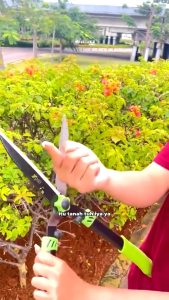 Gunting Rumput Taman & Alat Potong Rumput Praktis