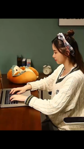 (SẴN HÀNG) Gối ngủ văn phòng mềm mại thoáng mát mới nhất 2024