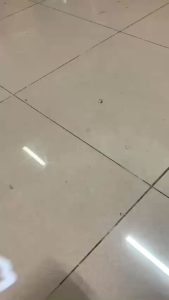 LOA BLUETOOTH M1 TÍCH HỢP 3 TRONG 1 BAO GỒM (USB + TYPE-C + GIÁ ĐỠ Điện Thoại)