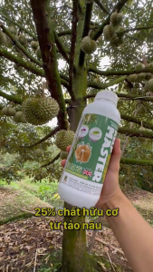 Phân bón hữu cơ tảo nâu Anh Quốc Refresh Kelp Master 1 lít