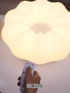 2024 New Bedroom Lights Modern Ceiling Lights 45/53CM Cream Wind Internet Red Cute and fashionable bedroom room lights