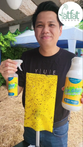 สเปรย์กาวดักแมลง พ่นได้เลย Mr.Glue กาวน้ำดักแมลง พร้อมใช้ฉีดพ่น ไม่อุดตันหัวสเปย์ ใช้ง่าย ประหยัด