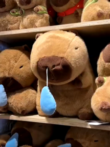 Gấu Bông Capybara Mũi Rút Có Thể Kéo Đồ Chơi Stuffed Animal Cho Bé 0-12 Tuổi - Xuất Xứ Trung Quốc