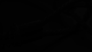 20Inch Stainless Steel Safety Hose Whip Check Hose Safety Cable Anti-Collapsible Safet