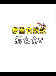 Ant Killer Bait Gel Liquid Yukang Poison Anti Ants Kill Colony Trap Repel Eliminate Pest Non-toxic Household repellent