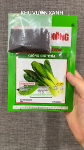 Hạt giống rau Cải thìa (Cải chíp) ngọt lá xanh - Gói 20gr - Trồng quanh năm