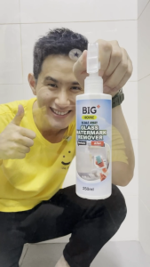 BIG+ Scale Away Glass Watermark Remover 250ml Home Bathroom Toilet Bowl Cleaning Multipurpose Stain Cleaner