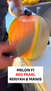 Benih Melon F1 RED PEARL 8 Biji: Panduan Lengkap