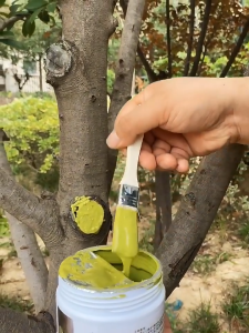 500g Tree Grafting Paste: A Comprehensive Guide to Tree Wound Paste and Pruning Sealer