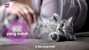 Makanan Kucing Kering Whiskas: Pilihan Terbaik untuk Kucing Dewasa