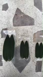 ใบไผ่สดญี่ปุ่น (ยกแพ็ค 100 ใบ) ใช้สำหรับตกแต่งจานอาหารได้นานาชนิด ทั้งอาหารไทย ญี่ปุ่น เกาหลี และอื่นๆ