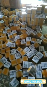 Obat Biduran Paling Ampuh & Gatal Alergi Dingin