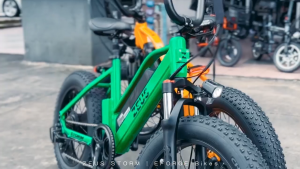 Electric Bicycle ZEUS Storm (Electric Fat Bike)