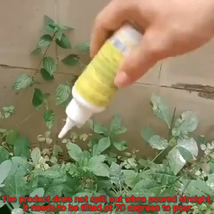 ☠️Termite all death! ☠️Termite killer75g Termite baiting system Ubat anai anai terbaik Racun anai anai terbaik Long-lasting effects one poisoned the whole litter died.灭白蚁药 灭白蚁粉 白蚁药