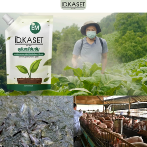ID.KASET ไอดี.เกษตร น้ำหมักจุลินทรีย์ EM ปลอดสารเคมี เกรดออร์แกนิคจากเจลาตินปลอดภัย100%