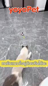 hooh pet🌈ของเล่นสัตว์เลี้ยง แมว ขนนกไฟฟ้า รถของเล่นแมว อัตโนมัติ ชาร์จ USB พร้อมรีโมตคอนโทรล