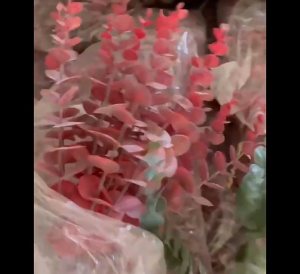 1PCS Artificial Eucalyptus leaves artificial flowers living room flower shop wedding party supplies