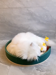 Pet Cat Puppy Scratcher Board Toy Interactive Cat Toy Balls Cat Toy Ball Track Scratching Pad kucing paper board
