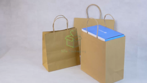 [ 10 PCS ] Paper Bag Shopping Twist Paper Bag Polos Coklat Goodie Bag Souvenir Paper Bag Kraft Kantong Kertas kantong Kado Tas Shopping Ecer