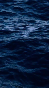 Parfum Pria EDP Black / Blue / Grey / Black OUD / Blue Supreme50ml