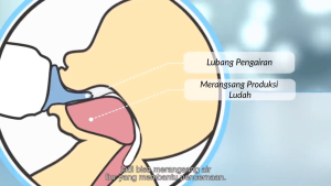 Pentil Dot Gepeng HUKI DODO RELIABLE ukuran S M L