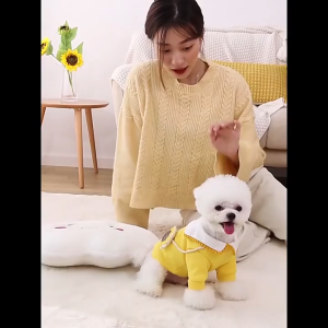 áo nỉ - áo ấm - áo cổ thủy thủ hình lollipop / hoa hướng dương / thỏ cà rốt dành cho chó mèo -T3 PETS SHOP