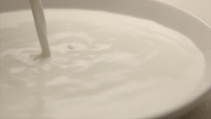 Doggyman 200ml Japanese Milk For Growing Dog