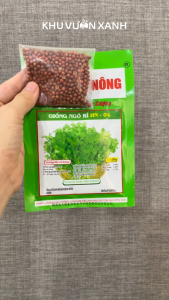 Hạt giống rau Ngò Rí (Mùi ta) gói 2gr Trồng quanh năm