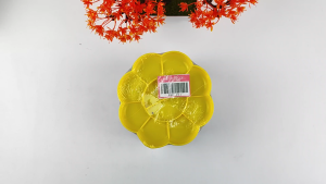 Palet Cat Air Plastik Pekat 1 Lusin: Panduan Lengkap