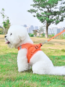 IMMCUTE Pet Harness with Leash Set Training Walking Step-in Reflective For Cats and Dogs