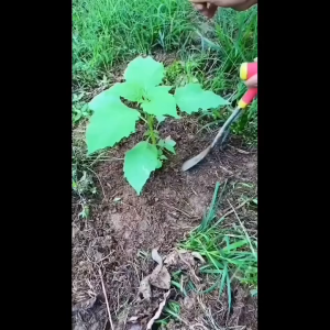 Sekop Penggali Sayuran Liar Sekop Taman Gagang Karet Bahan Stainless Mini Alat Berkebun Gardening Tools/Lempak Besi Linggis Tanah Sekop Tanah Galih Tanah Model Pijakan Sekop Penggali Tanah Cangkul Injak Cangkul Mini Rumput Baja
