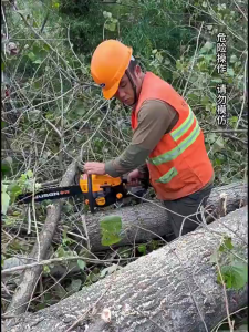18"/20"/22" Chainsaw Heavy Duty Petrol 2 Stroke Chain Saw 52cc EASY START High Performance Gasoline Chain saw  Wood Chainsaw (with Free Gift!)  油锯