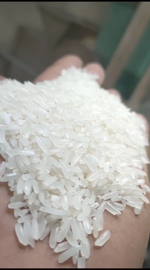 Beras Putri Agri 5kg: Asli Enak dan Berkualitas Tinggi