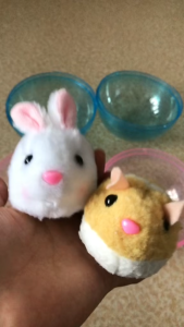 Hamster chạy bộ cực đáng yêu mới nhất 2024