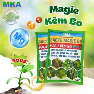 Magie kẽm bo MKA phân bón lá trung vi lượng giúp xanh lá dày lá đẹp trái và vàng cơm (gói 500g)