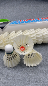 Hộp Cầu Lông Đế Gỗ Hải Yến Xuất Khẩu Ống Cầu Lông Xanh Dương Trái Cầu Lông Vũ Trắng Quả Cầu Lông Vịt Thi Đấu Và Luyện Tập