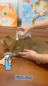 Oommi Probiotics Cat Dry Shampoo | Kucing Syampu Kering Syampu Tanpa Air