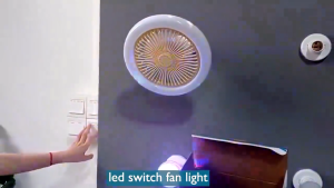 Ceiling Fan With Light 2 in 1 Smart Remote Control 12W Inverter Fan Light 3 Modes Fan Light For Living Room Bedroom