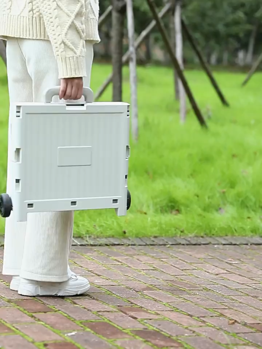 [SGReady Stock]Multifunctional Folding Shopping Cart / Large Capacity ...