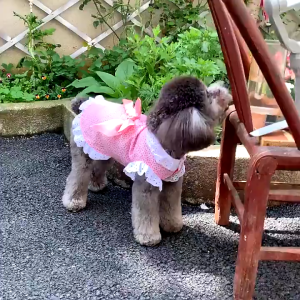 【Exclusive Discount】 Whisker 『27Pets』Lovely Bowknot Princess Skirt Dog Summer Thin Small Dog Summer Dress