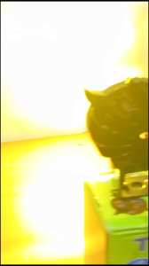 LAMPU TEMBAK SOROT LASER LED D2 OWL 2 WARNA PUTIH KUNING JAUH DEKAT SUPER TERANG UNIVERSAL SEMUA MOTOR MOBIL SET BREKET DUDUKAN