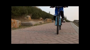 TEAM 5 20 Inch Mountain Bike for Kids Premium Carbon Steel Bike Bmx Mountain Bike Freestyle Show Street Corner