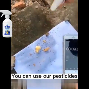 No Termites Within 1000m: 450ml Termite Killer Spray & Anti-Termite Powder