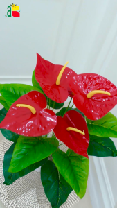 TANAMAN PLASTIK BUNGA ANTHURIUM MERAH BK5 B8170 BUNGA ARTIFICIAL HIASAN BUNGA POJOK RUMAH RUANG TAMU
