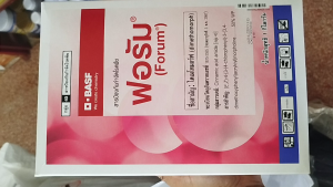 ฟอรัม ไดเมิตูริมฟ สำหรับการกำจัดโรคเชื้อรา โรคราน้ำค้าง ใบไหม้ โรคตากบตาเสือ เชื้อรา โรคแตงกวา