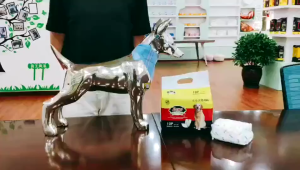 FNM SPORTS Dono Male Diaper Disposable Dog Diaper Pet Diaper