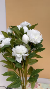 Hoa Mẫu Đơn Màu Cam Pastel Bông To 15cm 2 Bông 1 Nụ/Cành Dài 75cm Cam Kết Giống Thật - Hoa Lụa Trang Trí Nhà Cửa Văn Phòng